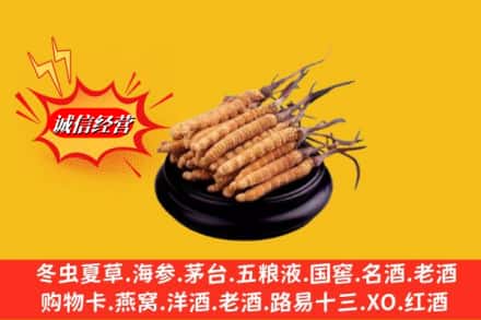 中山板芙镇名酒回收冬虫夏草.jpg